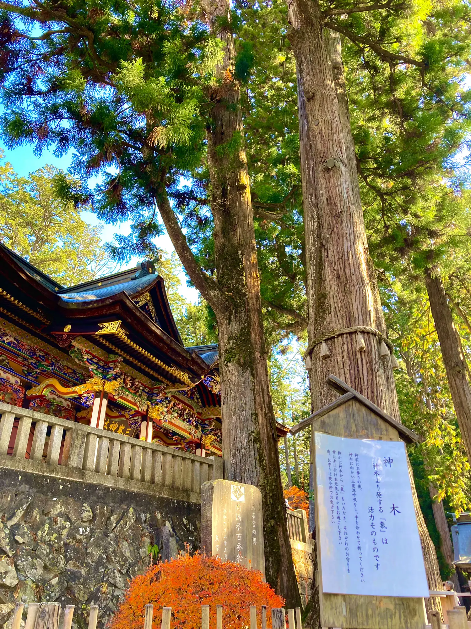 埼玉県】秩父・三峯神社 関東最強パワースポット✨ | ma---sanが投稿したフォトブック | Lemon8