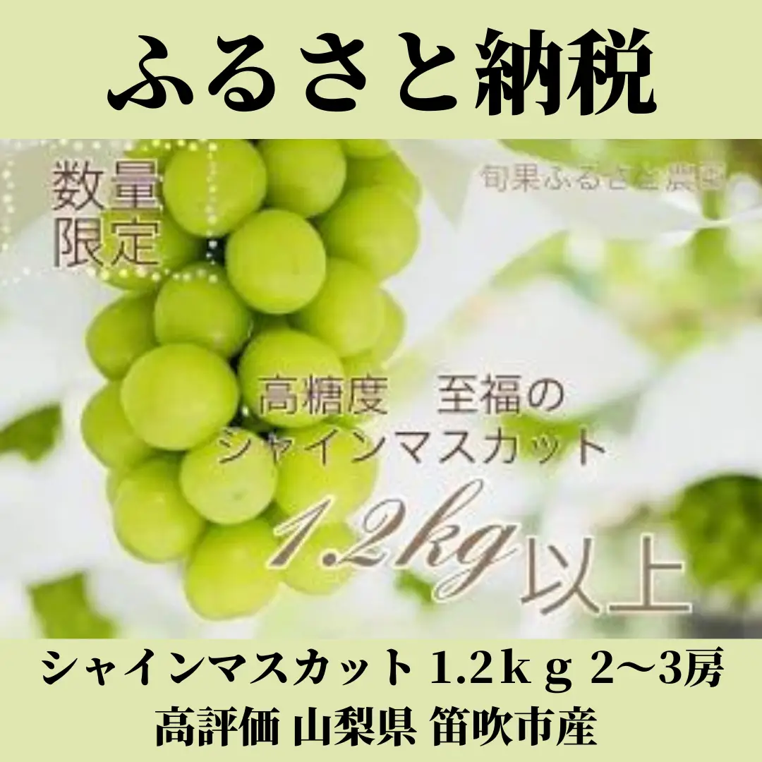 9/30まで数量限定で販売中‼️粒も大きくて食べ応えがありそうな