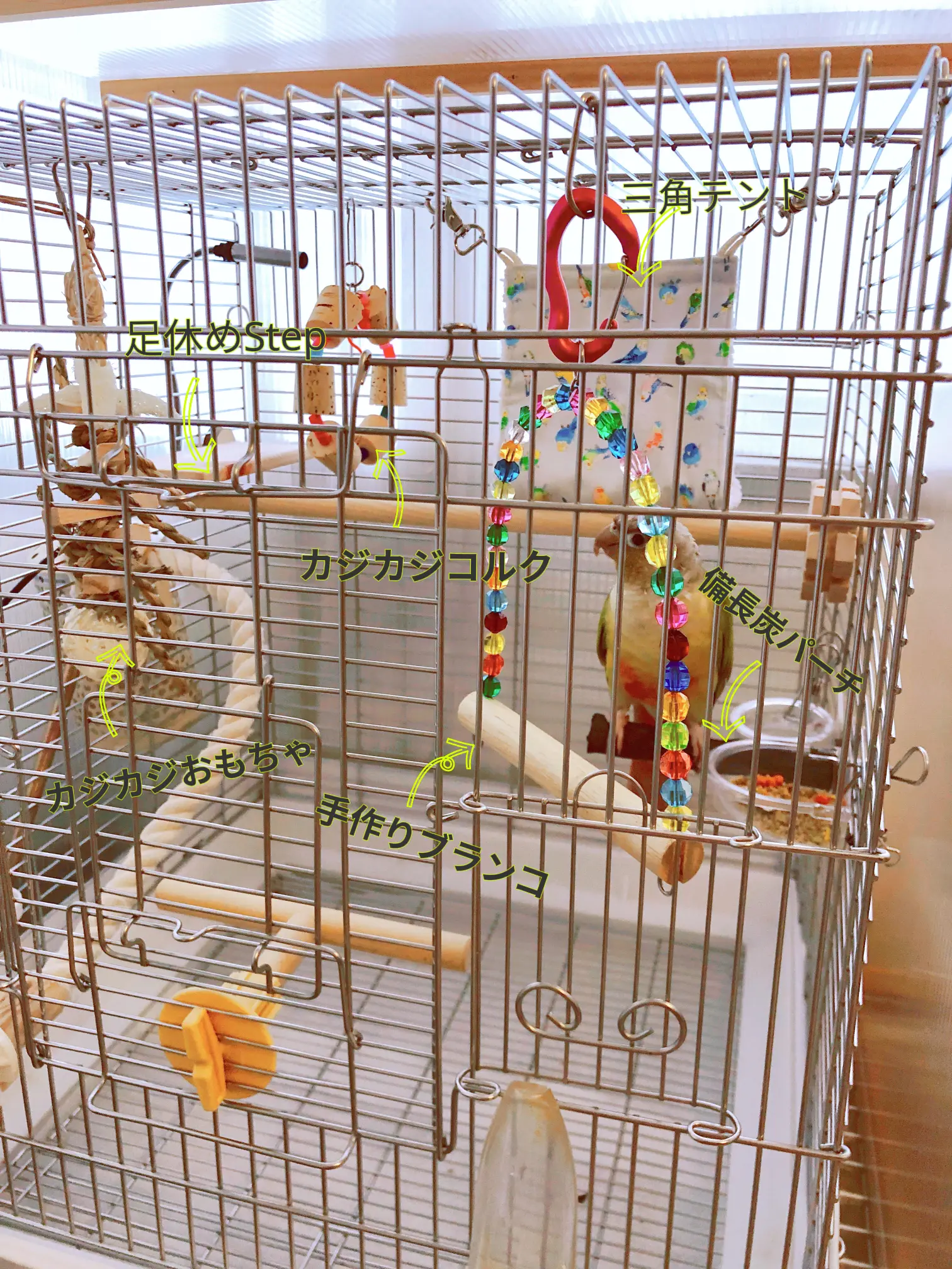 備長炭止まり木✨止まり木✨パーチ⭐️専用です(o^^o)