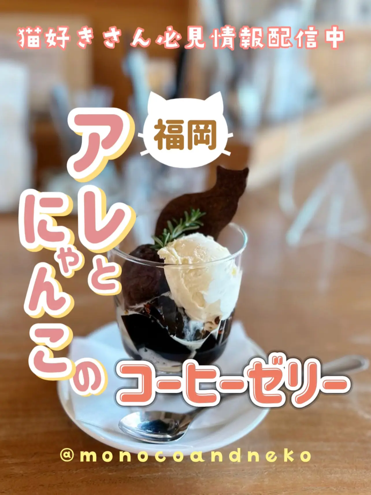 【福岡スイーツ】あんことにゃんこのコーヒーゼリー☕️