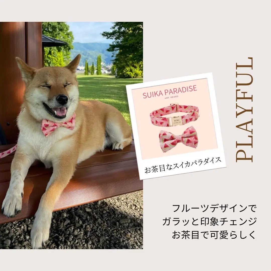 Pop Culture Dog Accessories - Lemon8検索