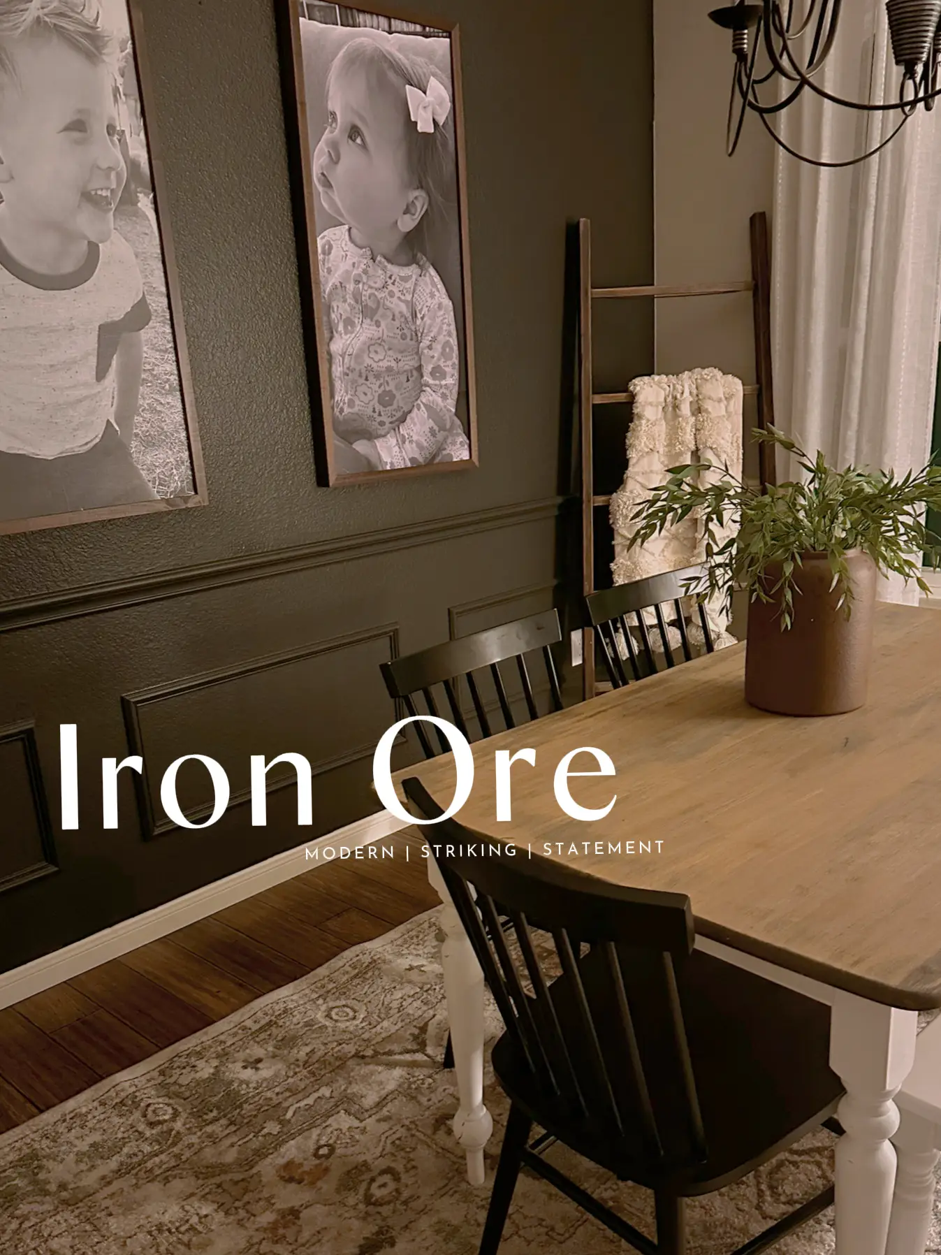 Iron Ore Accent Wall LOVE 🖤 Gallery posted by Ally Saxon Lemon8