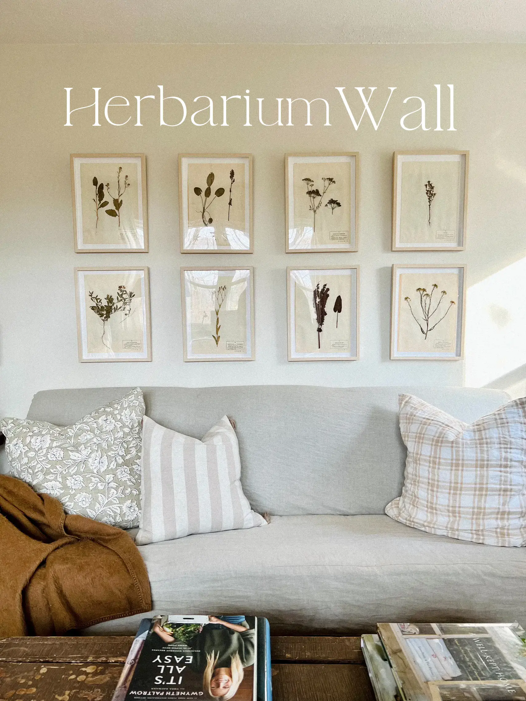 The Herbarium Wall, Gallery posted by Logan Dovel