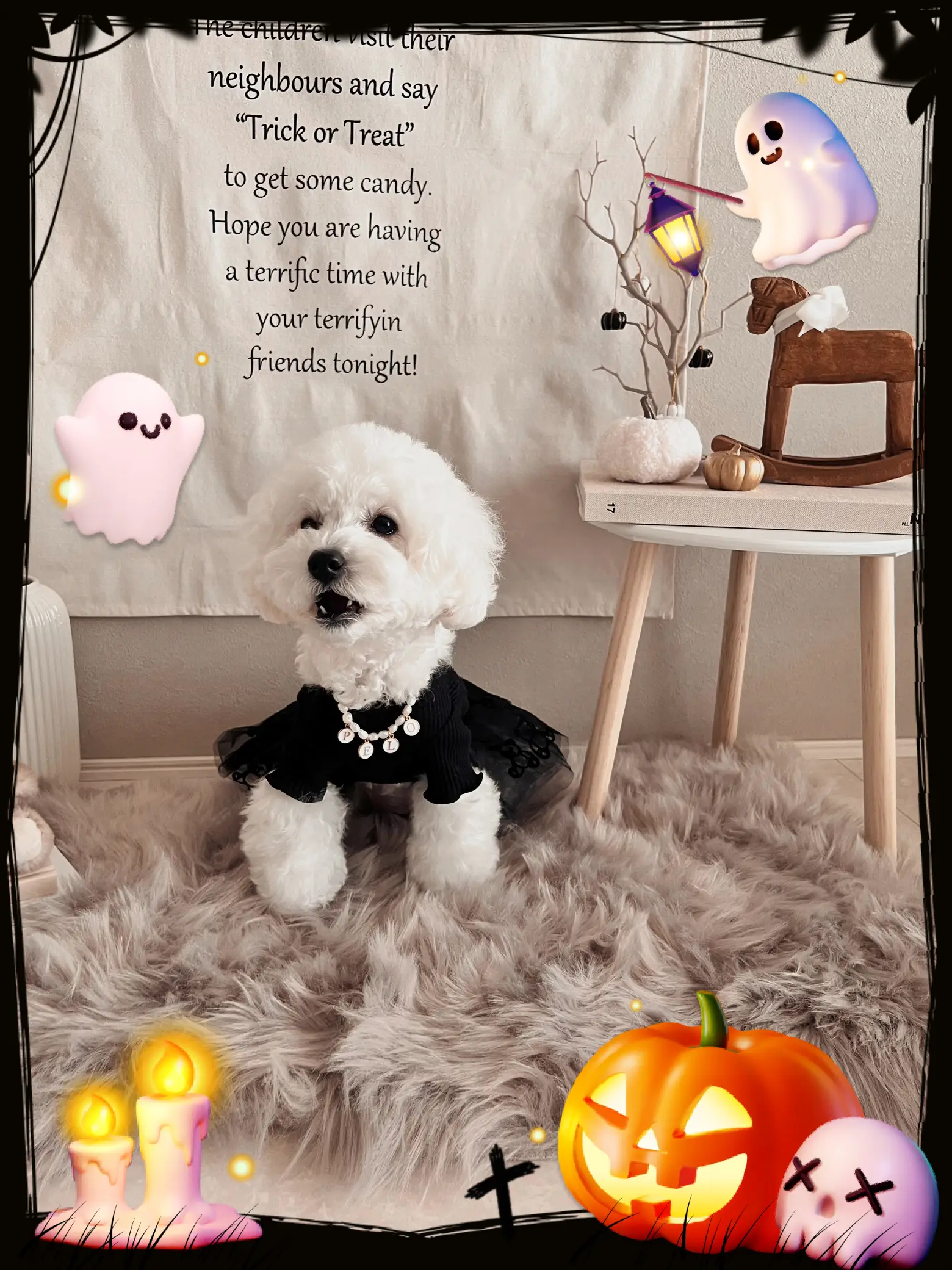背景布×3枚ペット撮影用フォトブースハロウィントリミング