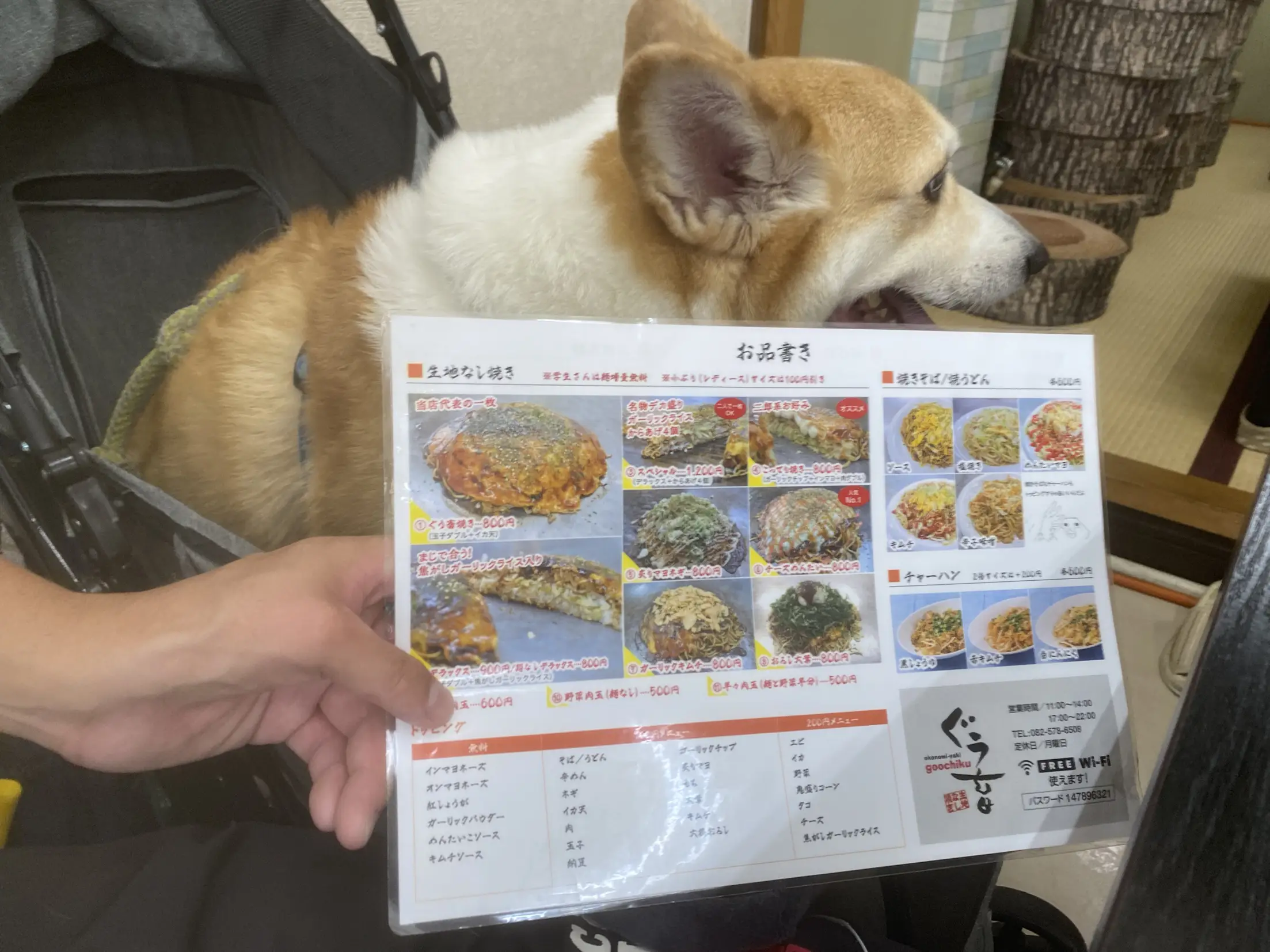 広島で犬と旅 | コーギー短足部(部長)が投稿したフォトブック | Lemon8