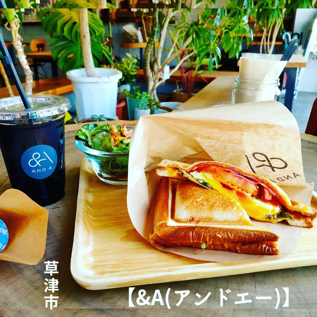 滋賀ドッグカフェ - Lemon8検索