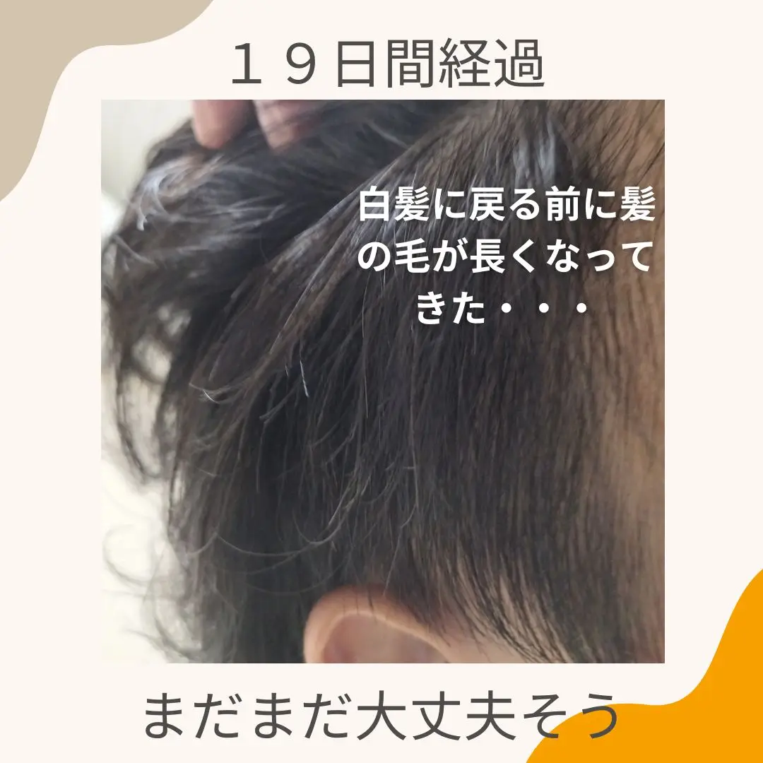 Blaune Rerise リライズ リ-ブラック ふんわり仕上げ 3本セット