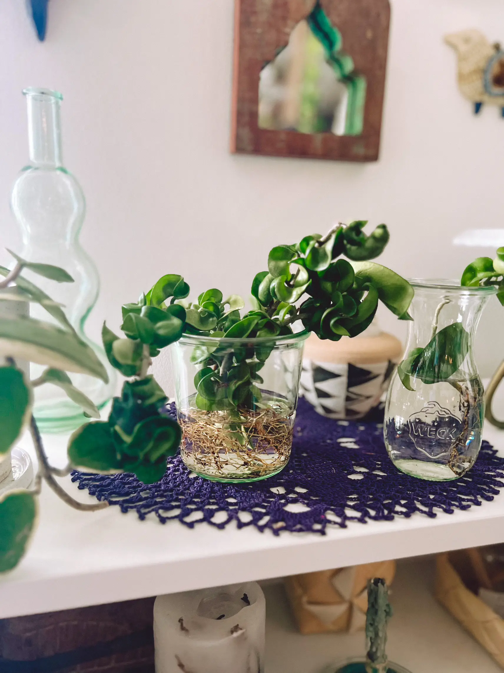 Styling your plants in water with copper wire