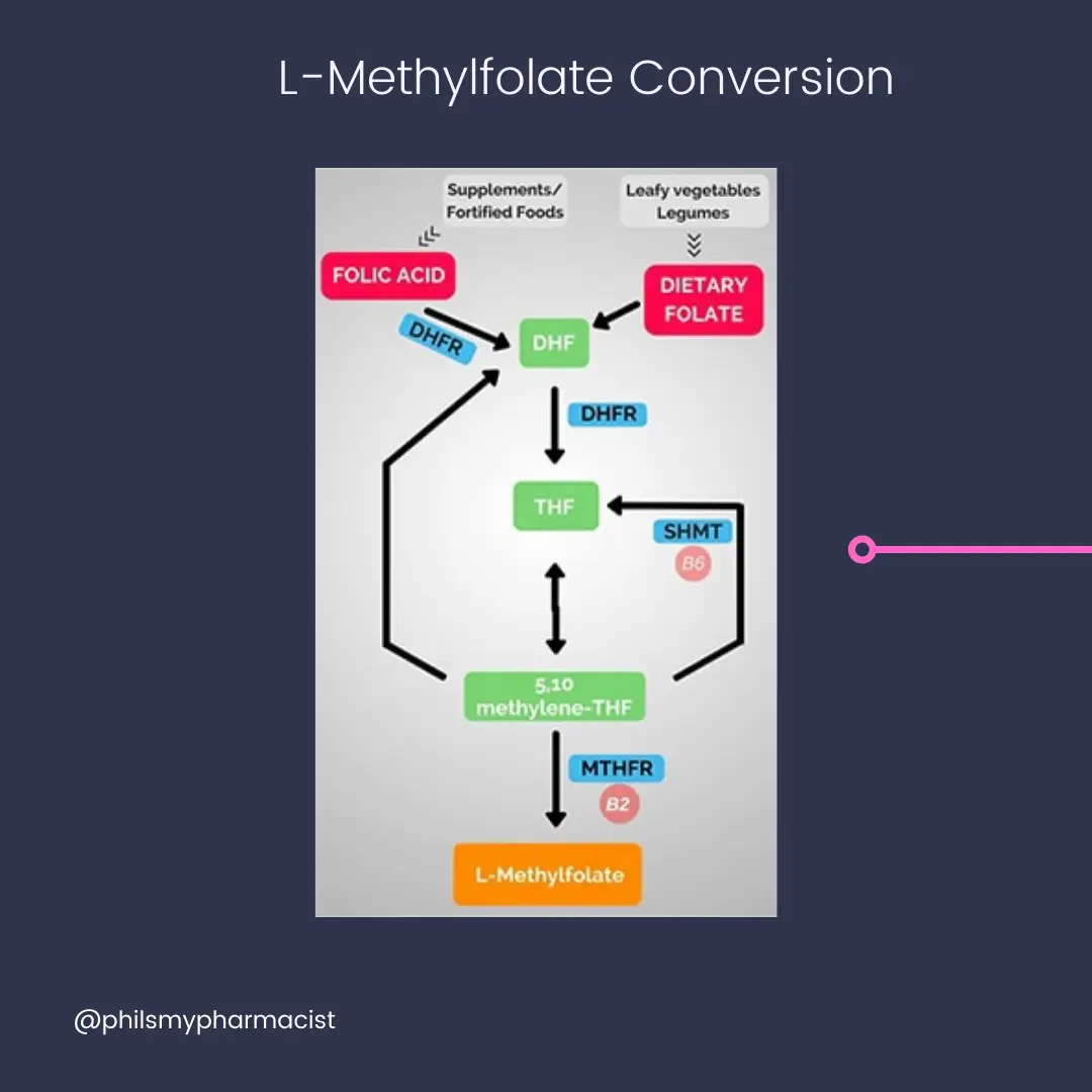 Do you need to be taking L-Methylfolate? | แกลเลอรีที่โพสต์โดย Phil ...