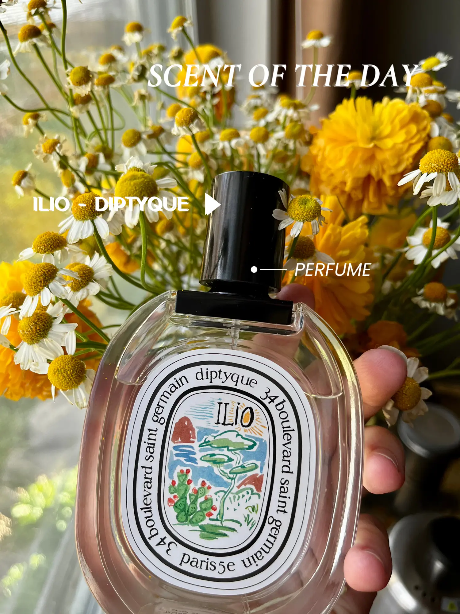 DIPTYQUE ディプティック ILIO ヘアフレグランス イリオ おお