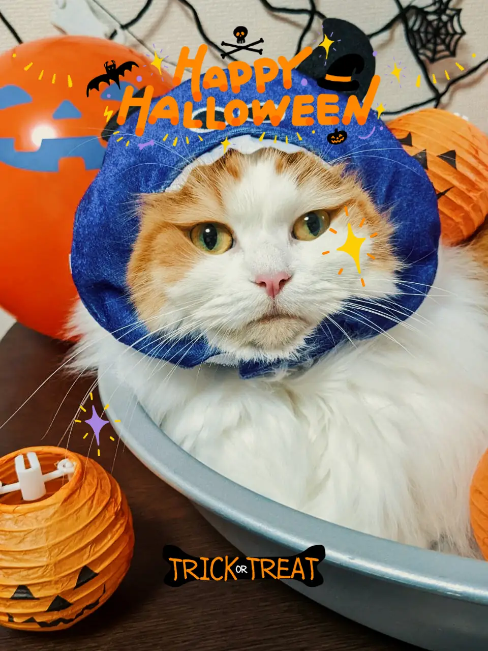 セリア おにぎり型アニマルハロウィン おばけ ねこ くま かぼちゃ - ハロウィン