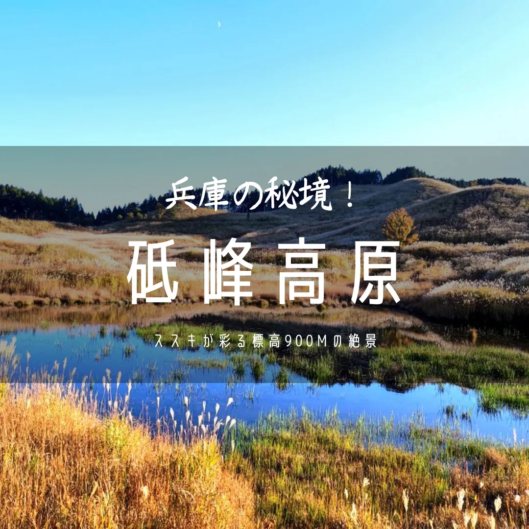 油絵 風景画 ✡️ 兵庫県砥峰高原【P30】【10月】 油絵 風景画 ✡️ 兵庫県砥峰高原【P30】【10月】 油彩画