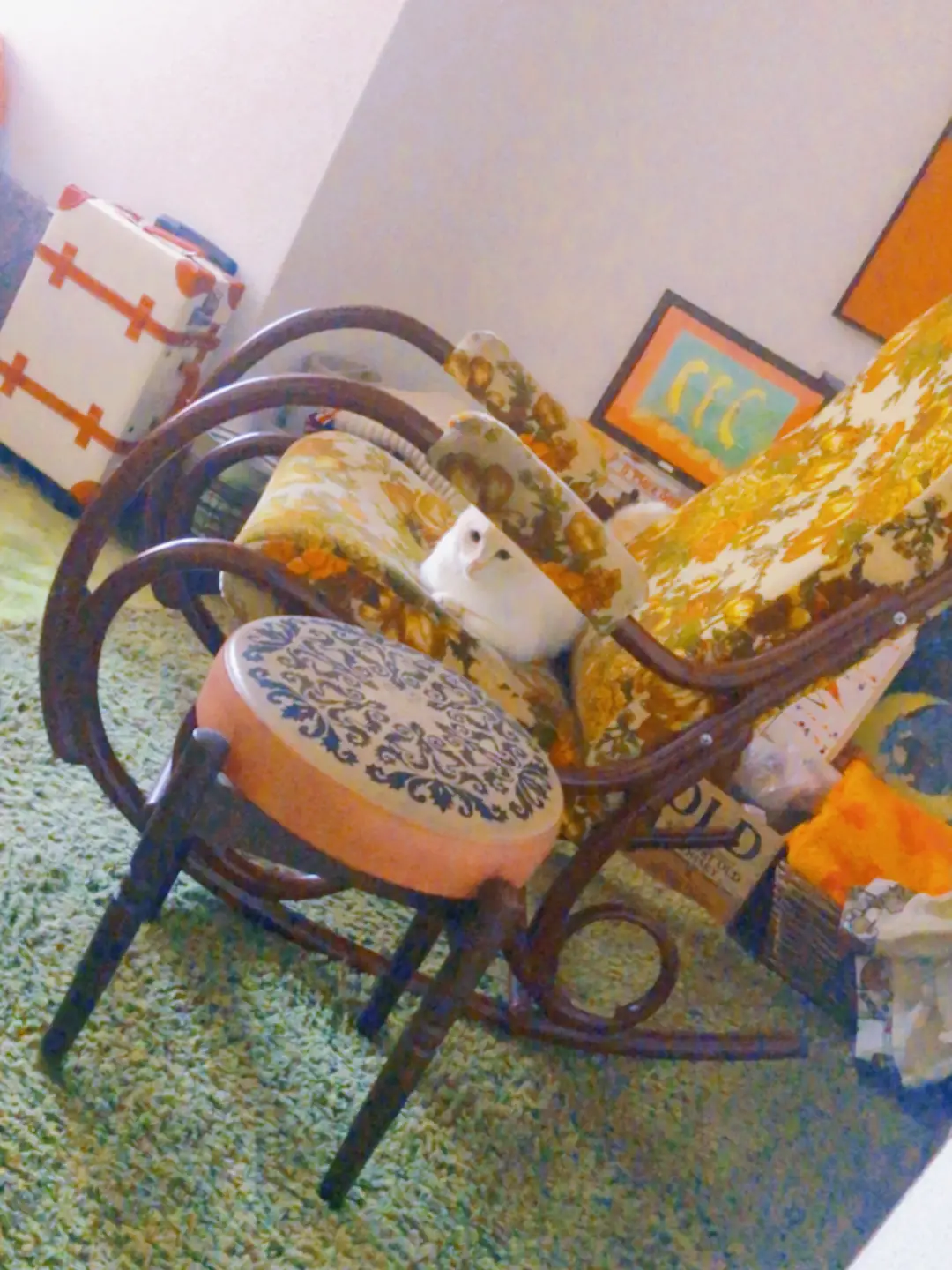 寝室のロッキングチェアに愛猫。 | 古着屋ひょうたんやまビレッジが  