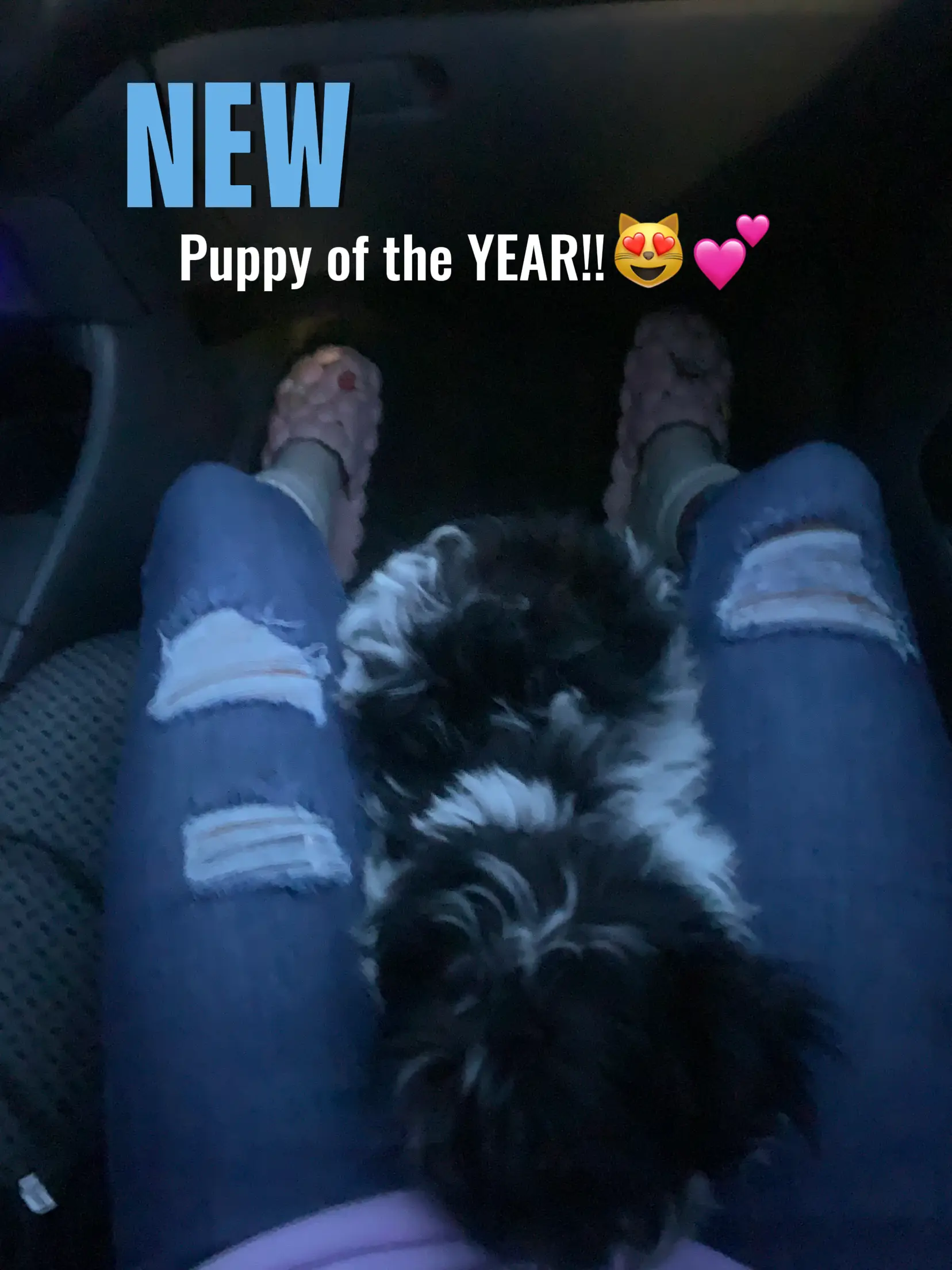 NEW | Gallery posted by Nicole.luvvv1 | Lemon8