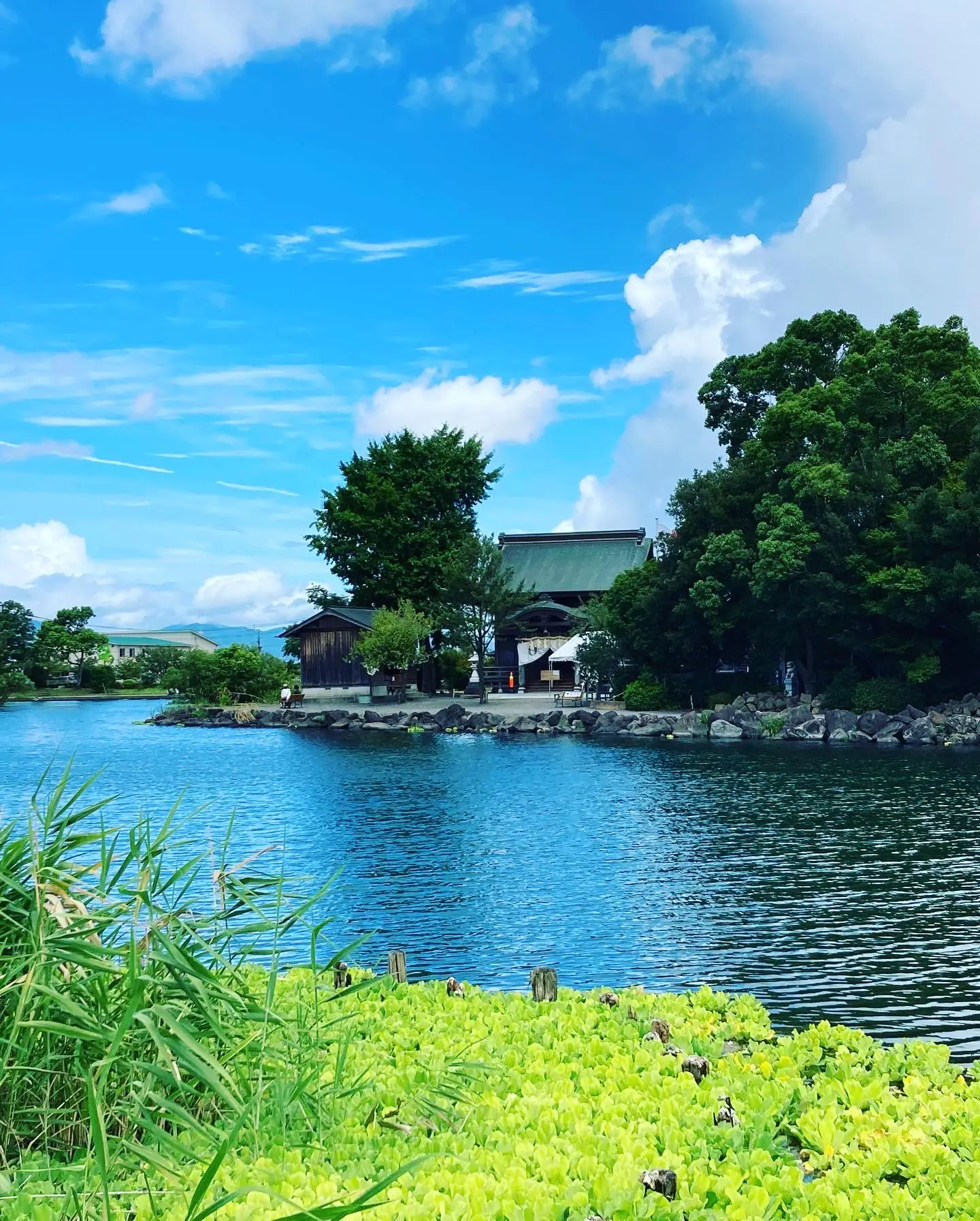 熊本県の、浮島神社の写真です。カップル&夫婦のための神社です♬ 写真・グラフィック ふるいえ ひろき 通販｜Creema(クリーマ) 2717555  インクジェット・ほか画材 | dsaprojetos.store