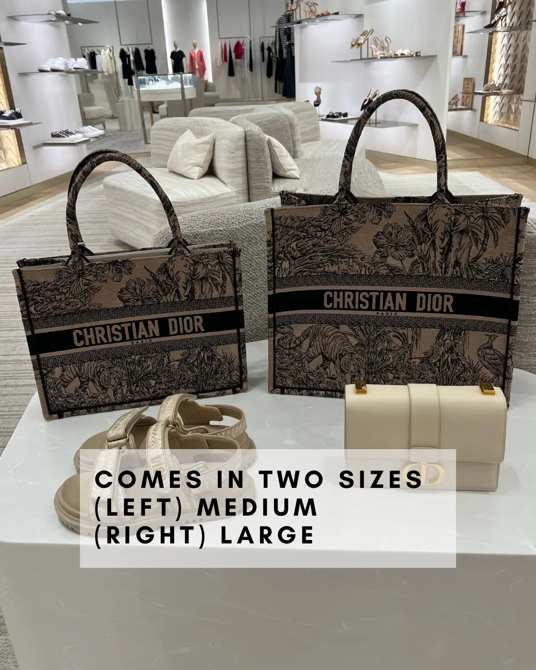 Christian Dior Book Tote In-Depth Review, What Fits inside and Pricing