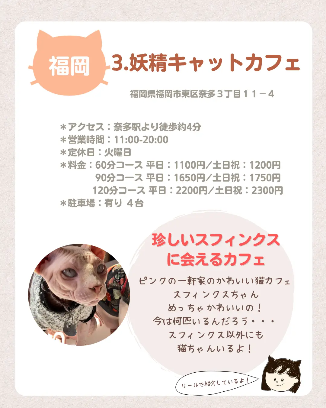 九州猫カフェ】面白い猫カフェをまとめてみたよ♪ | 【モノコ 