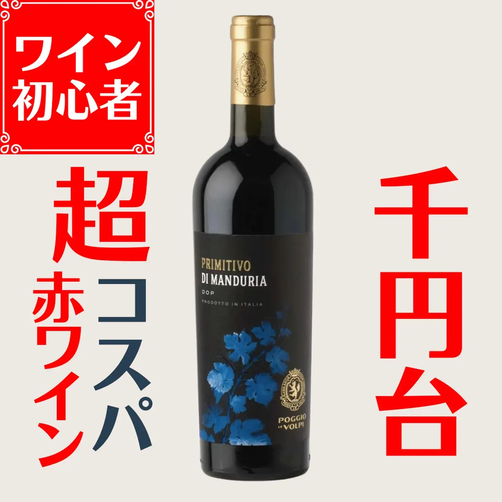 Recommended for wine beginners! Red wine in the 1,000 yen range