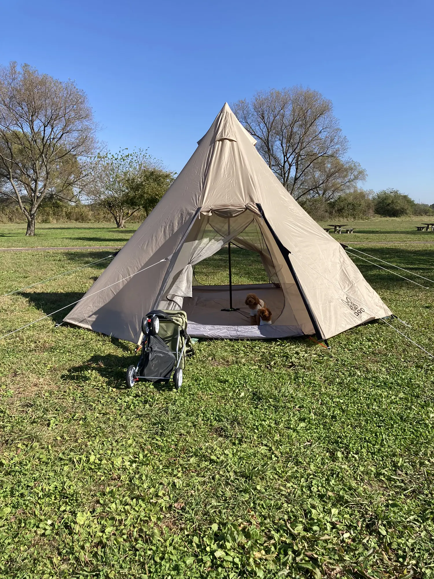 コテージカッツ カッティングダイ キャンプ 8ダイ Ocho Camp のパッ