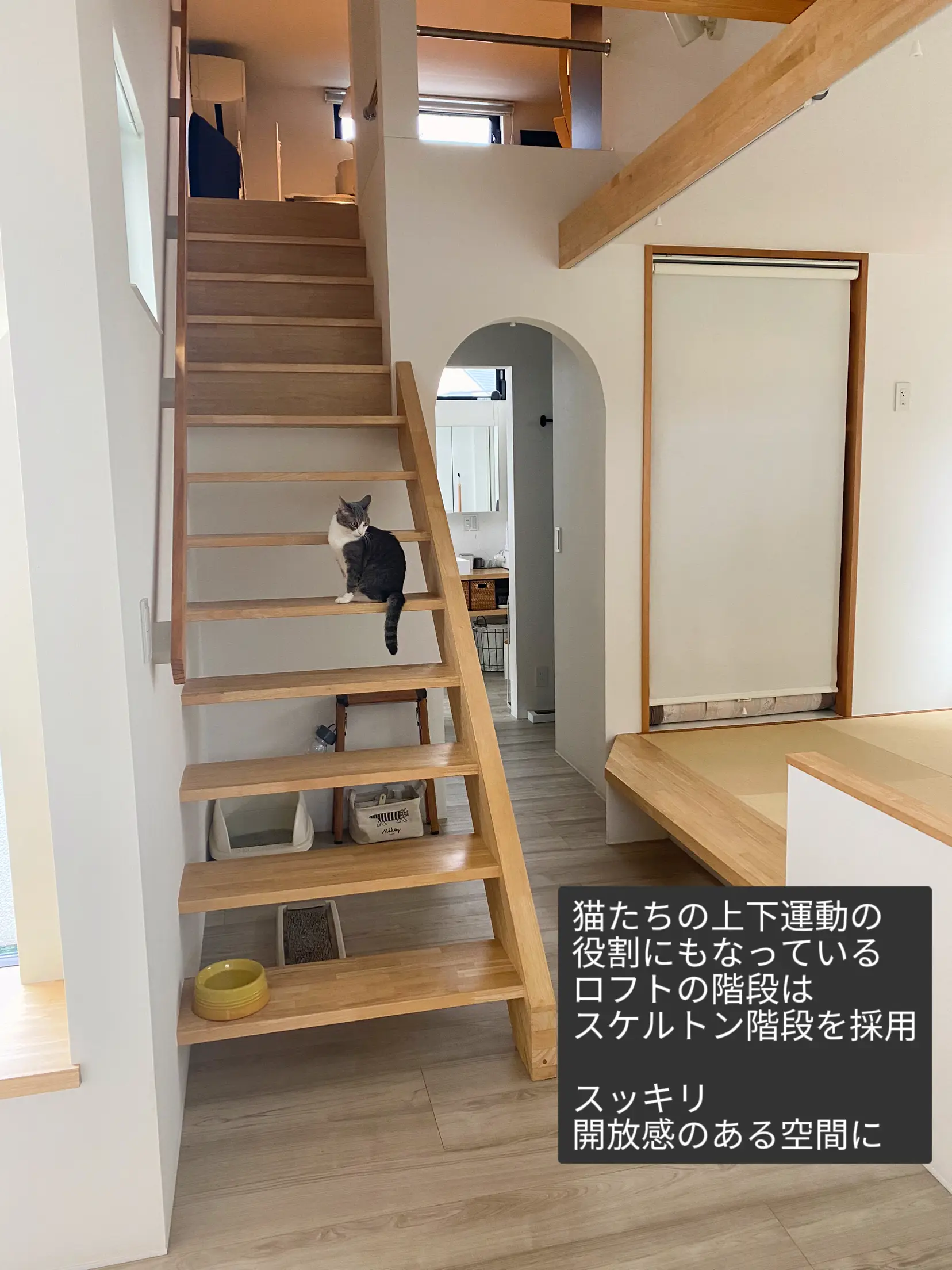 猫たちもお気に入り！スケルトン階段 | Sora /猫との住まいづくりが投稿したフォトブック | Lemon8