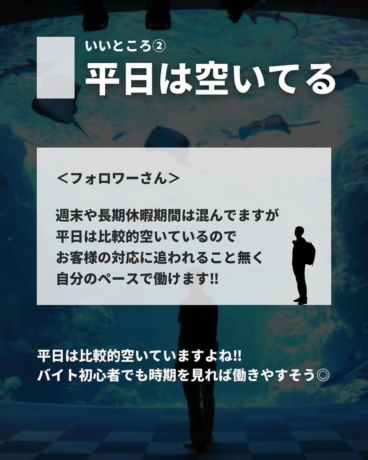 引き取り 募集 謝礼あり - その他