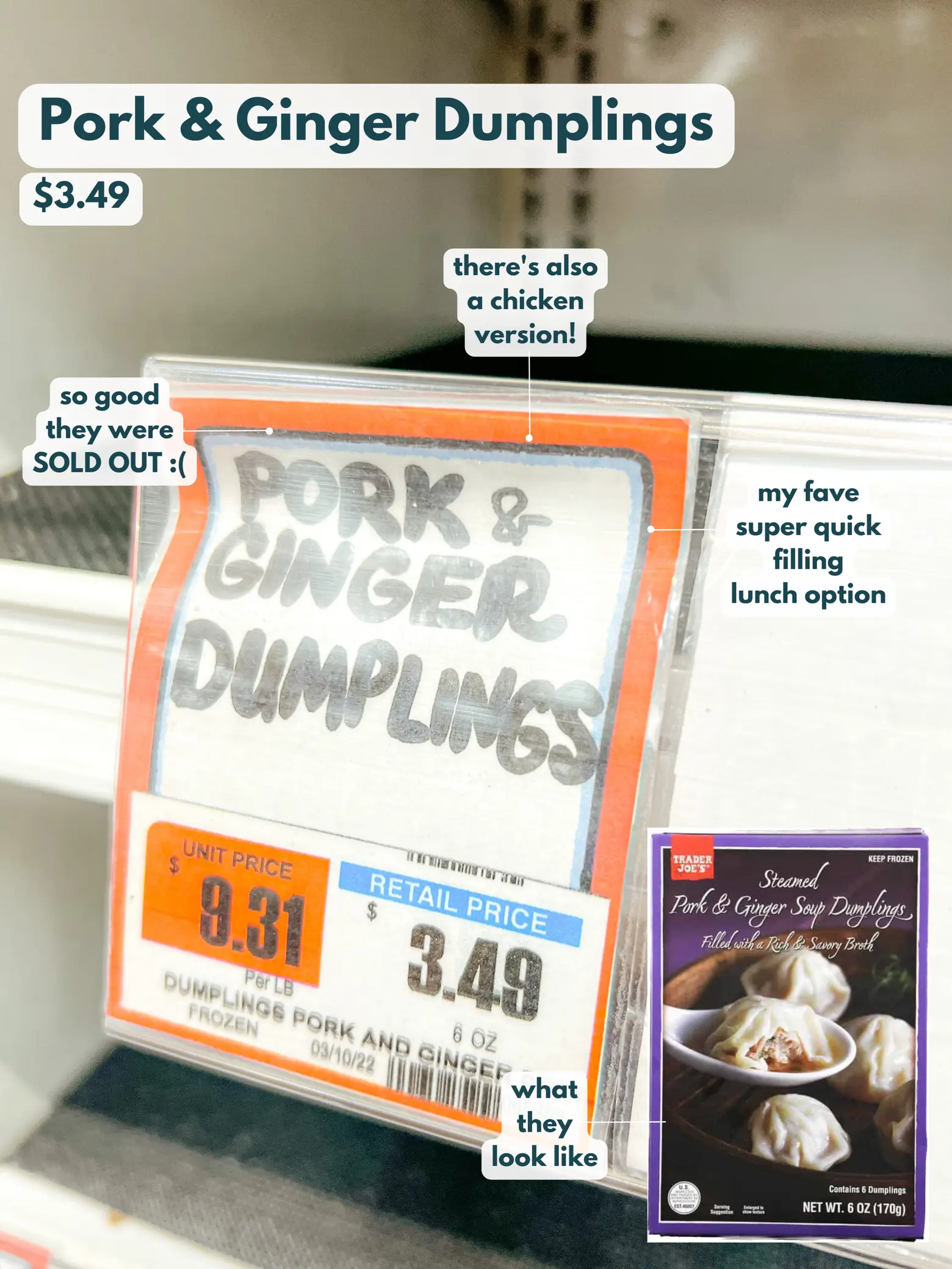 We Tried Trader Joe's Pork and Ginger Soup Dumplings - DailyWaffle