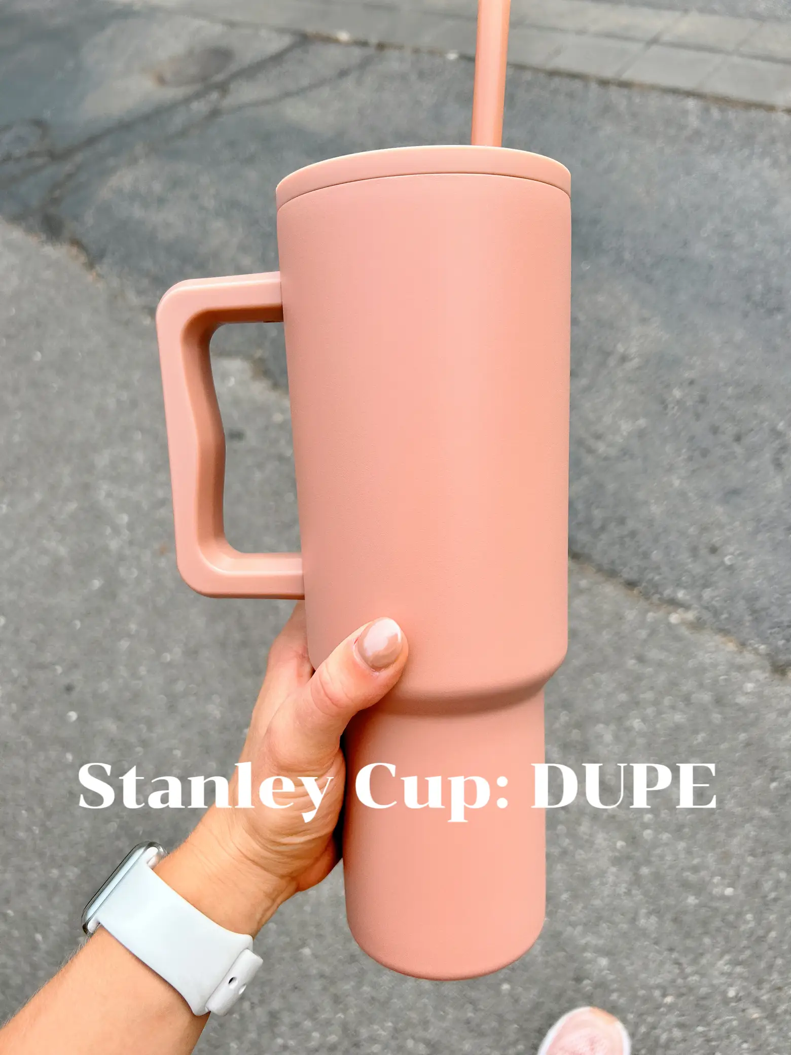 Stanley Cup Dupe - Temu