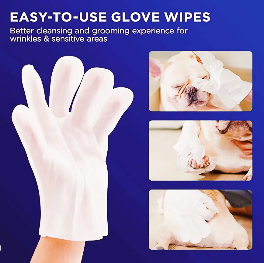 How To Clean Your Frenchie Gallery posted by HICC Pet™ Lemon8