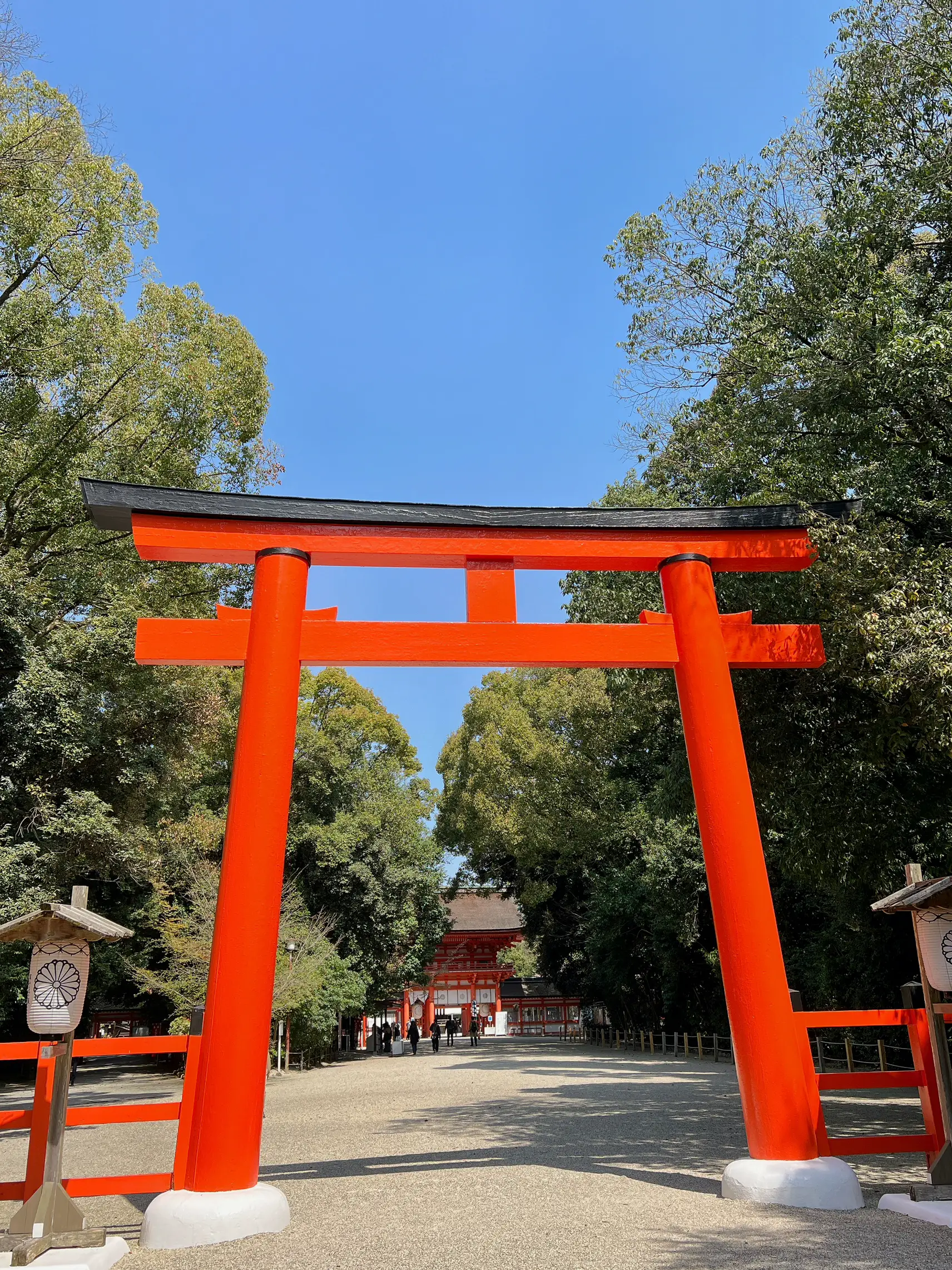 世界文化遺産✨下鴨神社⛩ | キンコイが投稿したフォトブック | Lemon8