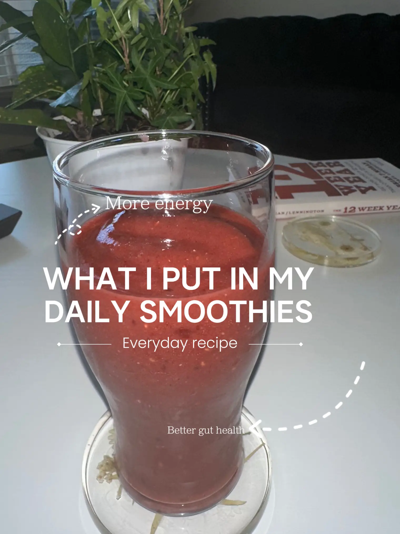 20 top Healthy Smoothie Recipe with Godmoss Sea Moss ideas in 2024