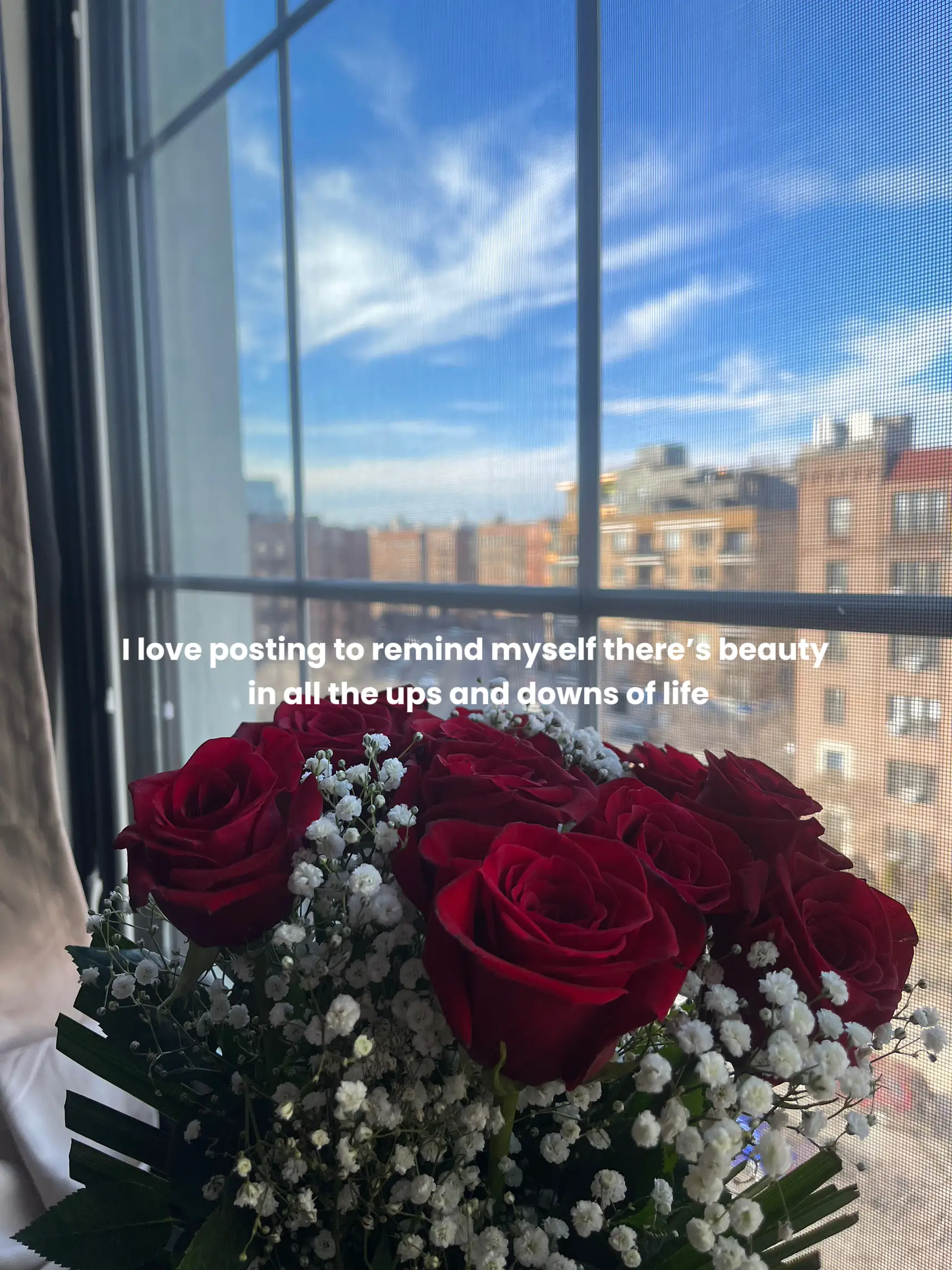  A bouquet of roses in a vase.