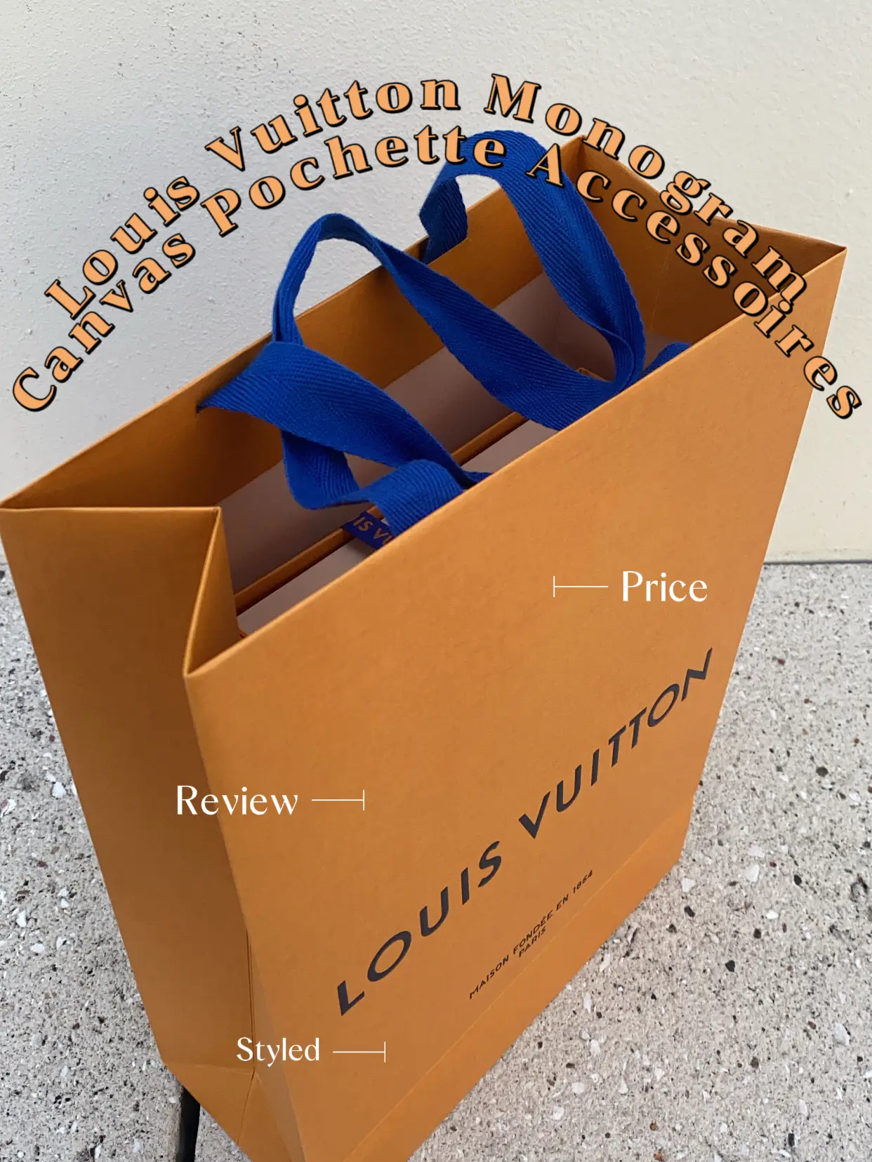Louis Vuitton Pochette Accessories Review