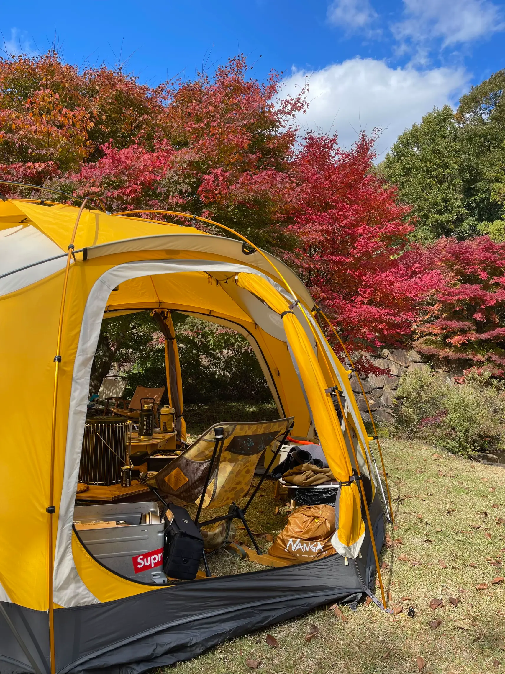 テント キャンプ タープ 虫除け 大きめ 蚊帳 収納袋付き 新品未使用 