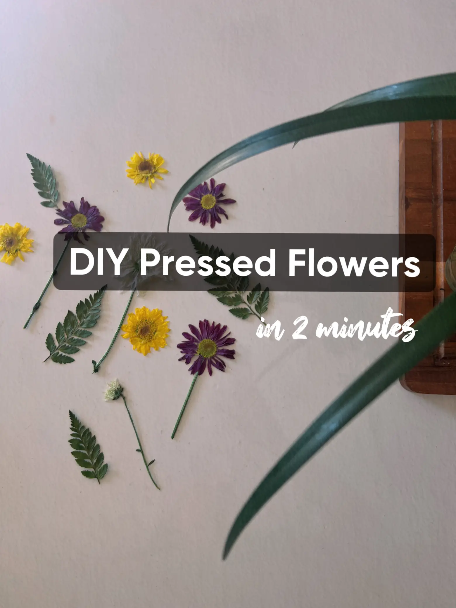 DIY Paper Flowers - Blooming Homestead