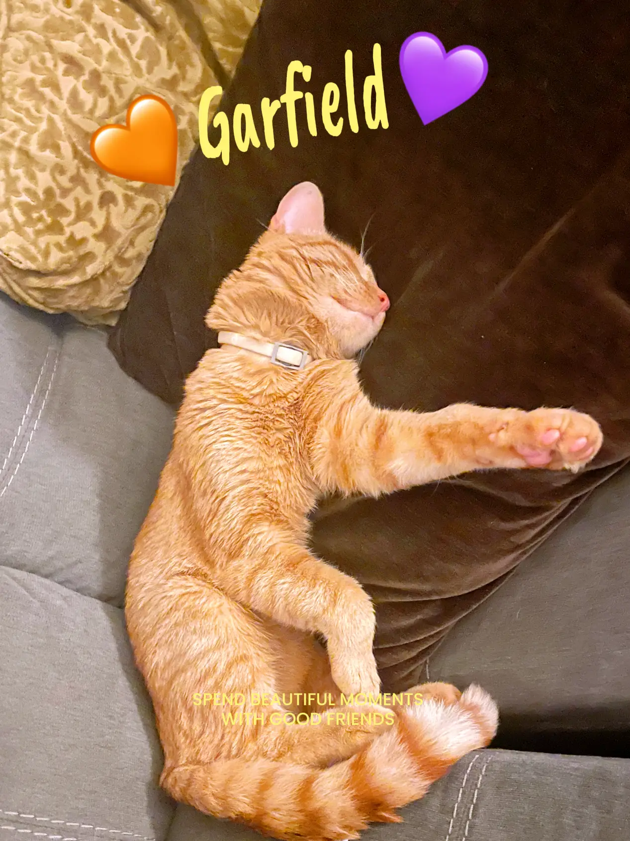 CatDad Garfield Gallery posted by LaurenceW Lemon8