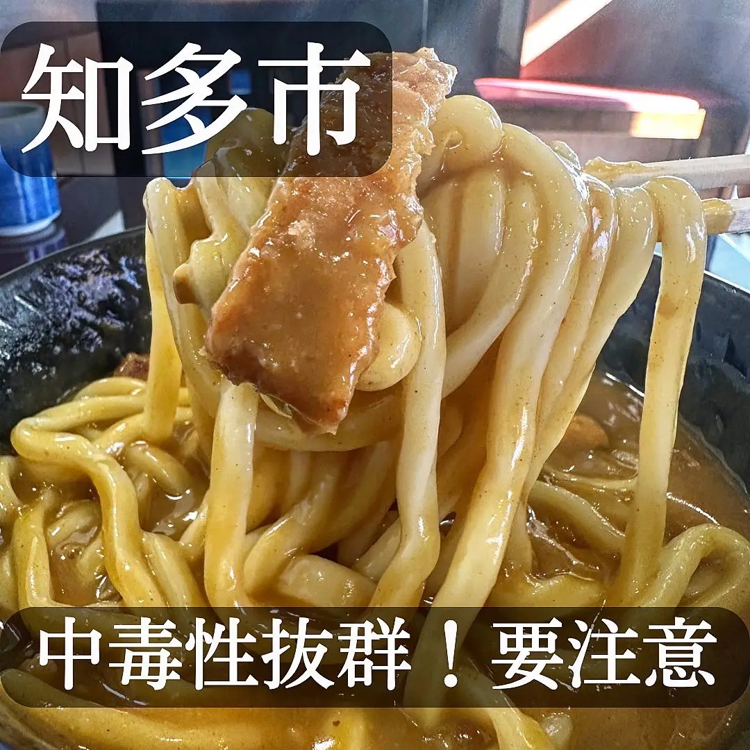 中毒性抜群要注意！ハマるカレーうどん | 名古屋グルメ帝王【痛風】が