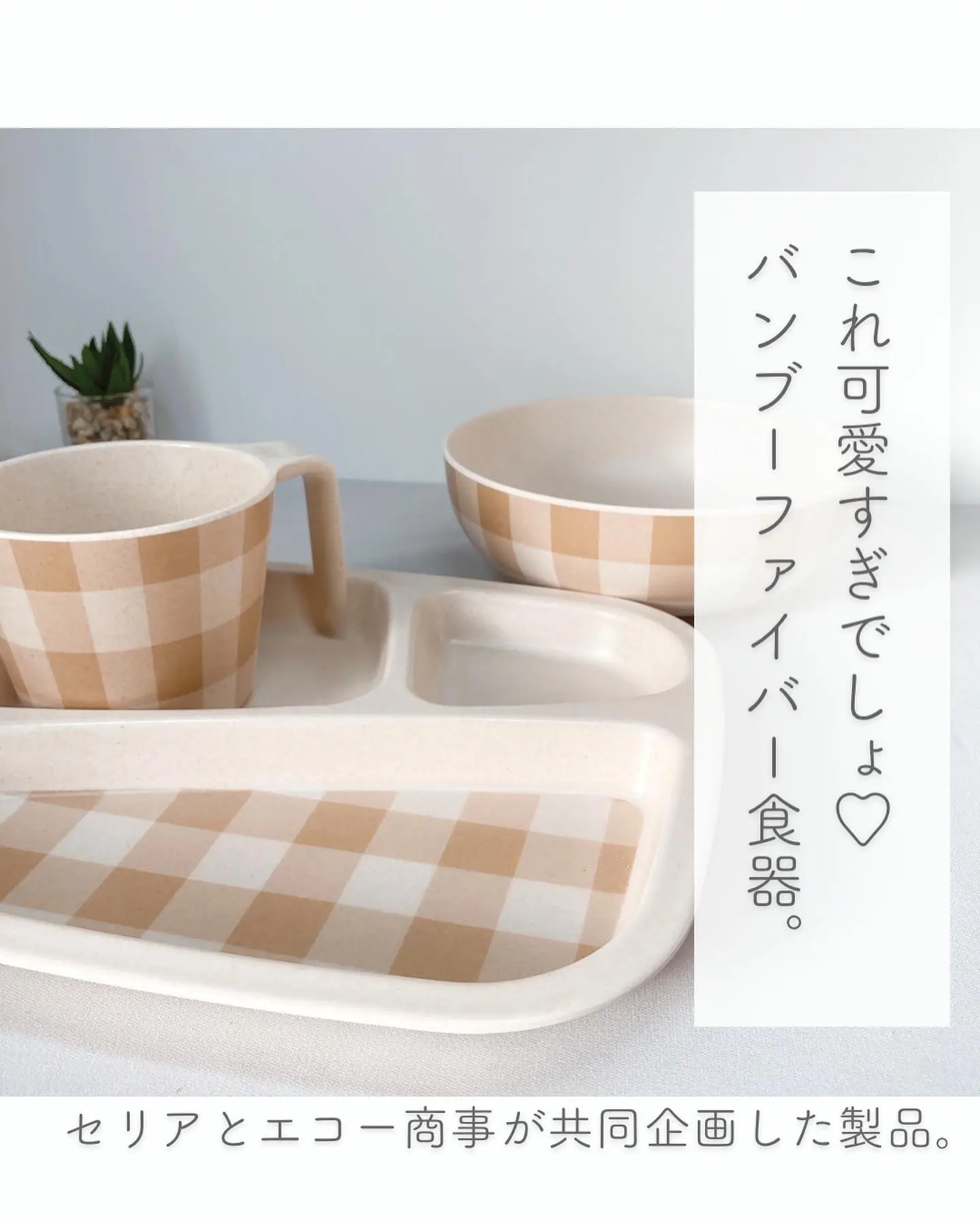 撃的な可愛さ♡バんプーファイバー食器🌿 | きこ⌇100均商品レビュー𓅯