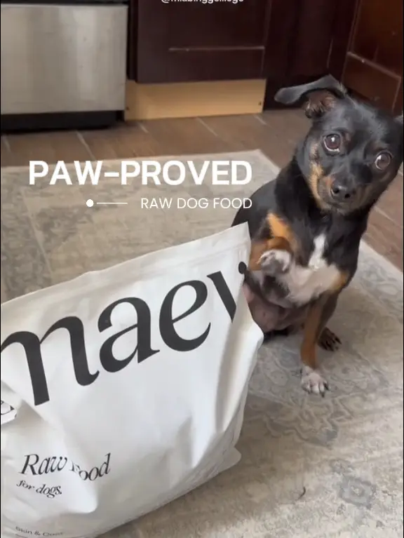 How The Founder Of Maev Is Creating Healthy Lifestyles For Dogs Through  Human-Grade Nutrition