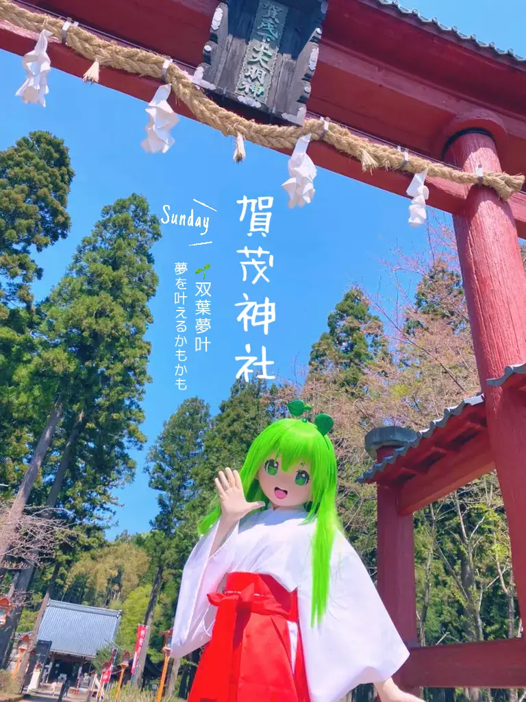 夢を叶える巫女が座す神社⛩賀茂神社⛩ 夢を叶えに🌱双葉夢叶 | 炎のサイクリストが投稿したフォトブック | Lemon8