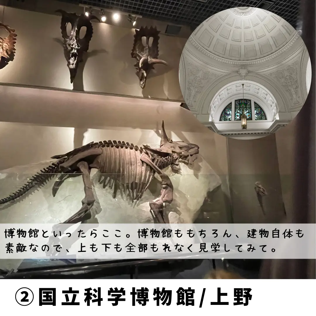 関東】子どもと恐竜を見に出かけよう。オススメ恐竜博物館6選🦕🦖 | なぎさ|東京発🚃子連れ旅が投稿したフォトブック | Lemon8