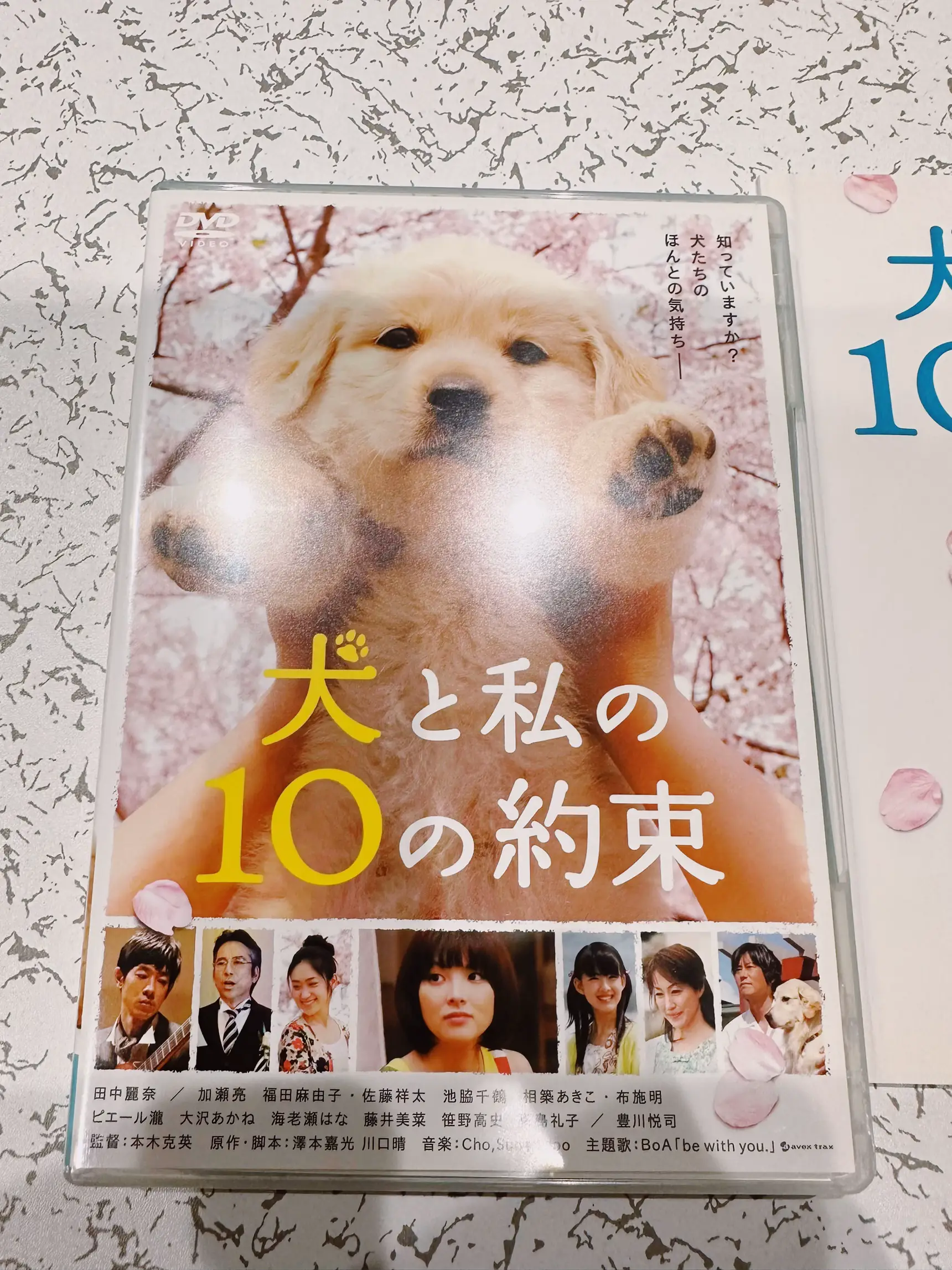 名作映画【DVD】犬とわたしの10の約束 | 口一が投稿したフォトブック | Lemon8