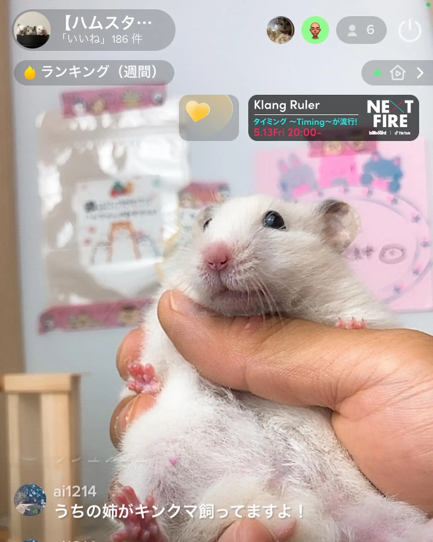 dwarf hamster life span｜TikTok Search