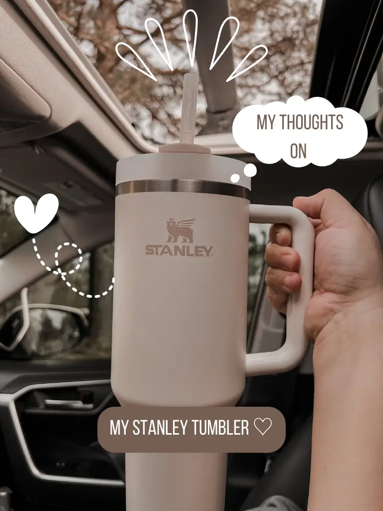 Stanley Cup Snack Holder - Stylish Stanley Tumbler - Pink Barbie