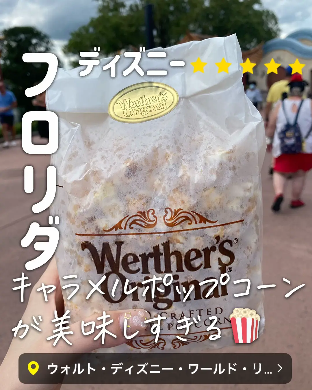 エプコット（フロリダディズニー）2024限定 ポップコーンケース 【公式
