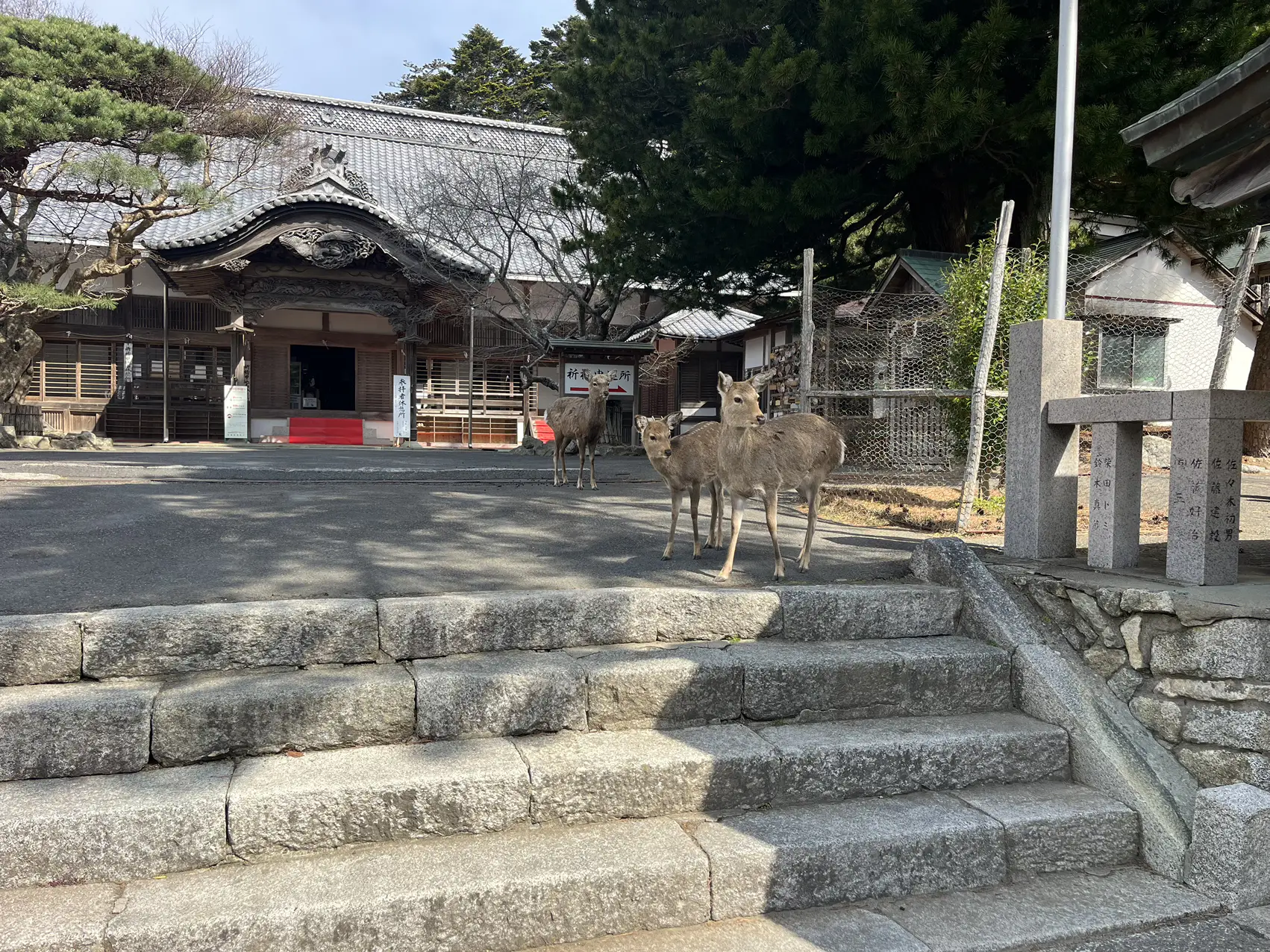 3年続けてお参りすれば 一生お金に不自由させまいすまい！金華山 黄金山神社⛩ | 自遊人が投稿したフォトブック | Lemon8