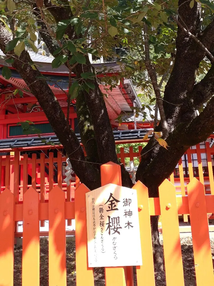 金櫻神社⛩️御朱印 甲府市 | taichiが投稿したフォトブック | Lemon8