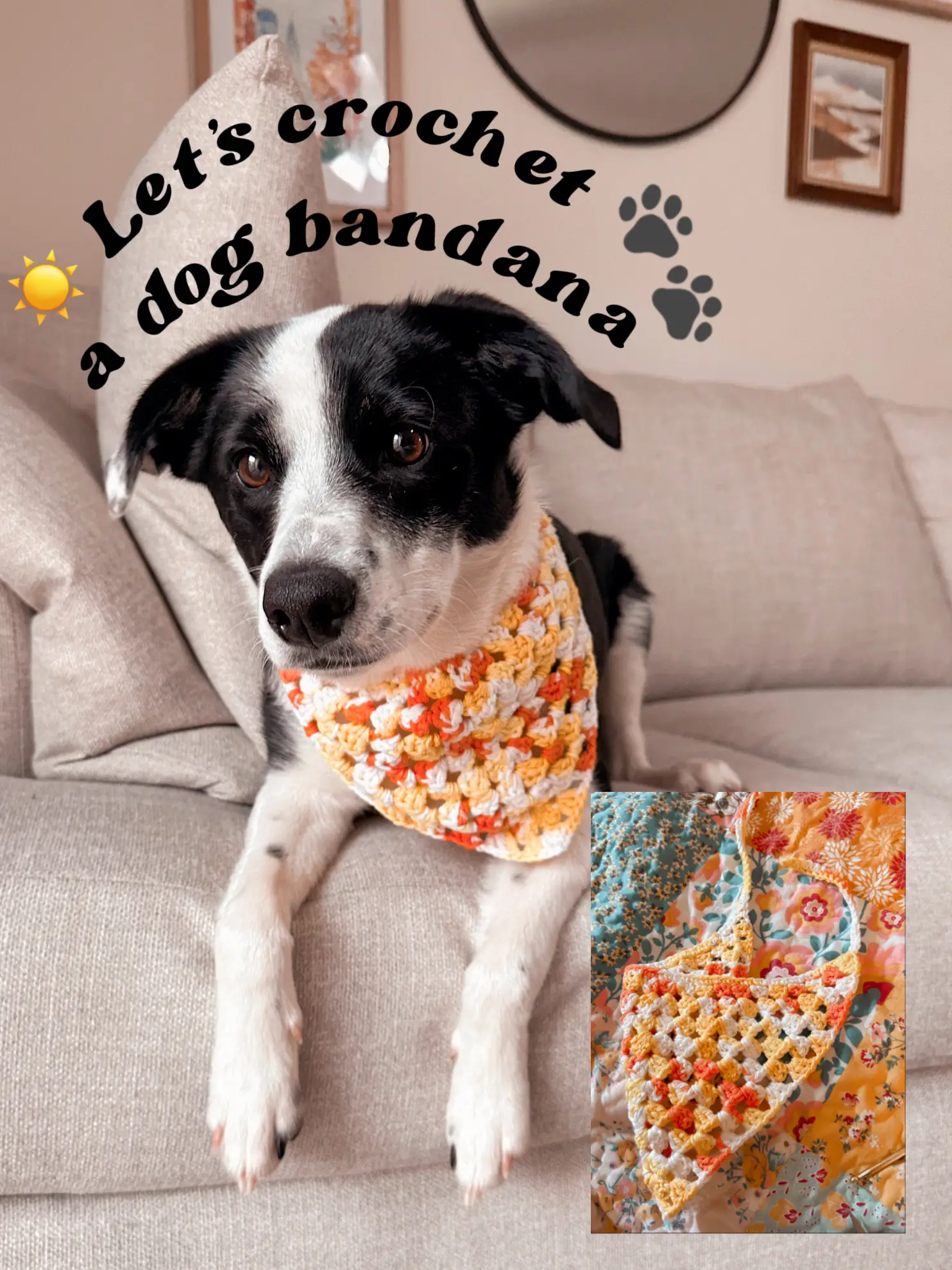 Cute Bandanas for Dogs - Lemon8 Search