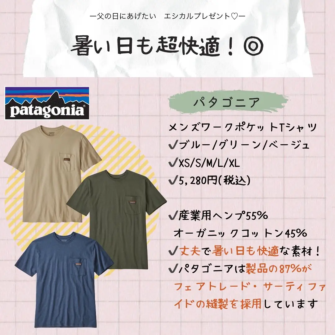 在庫大得価新品タグ付き 今期 新作 パタゴニア Tシャツ 2枚セット Tシャツ/カットソー