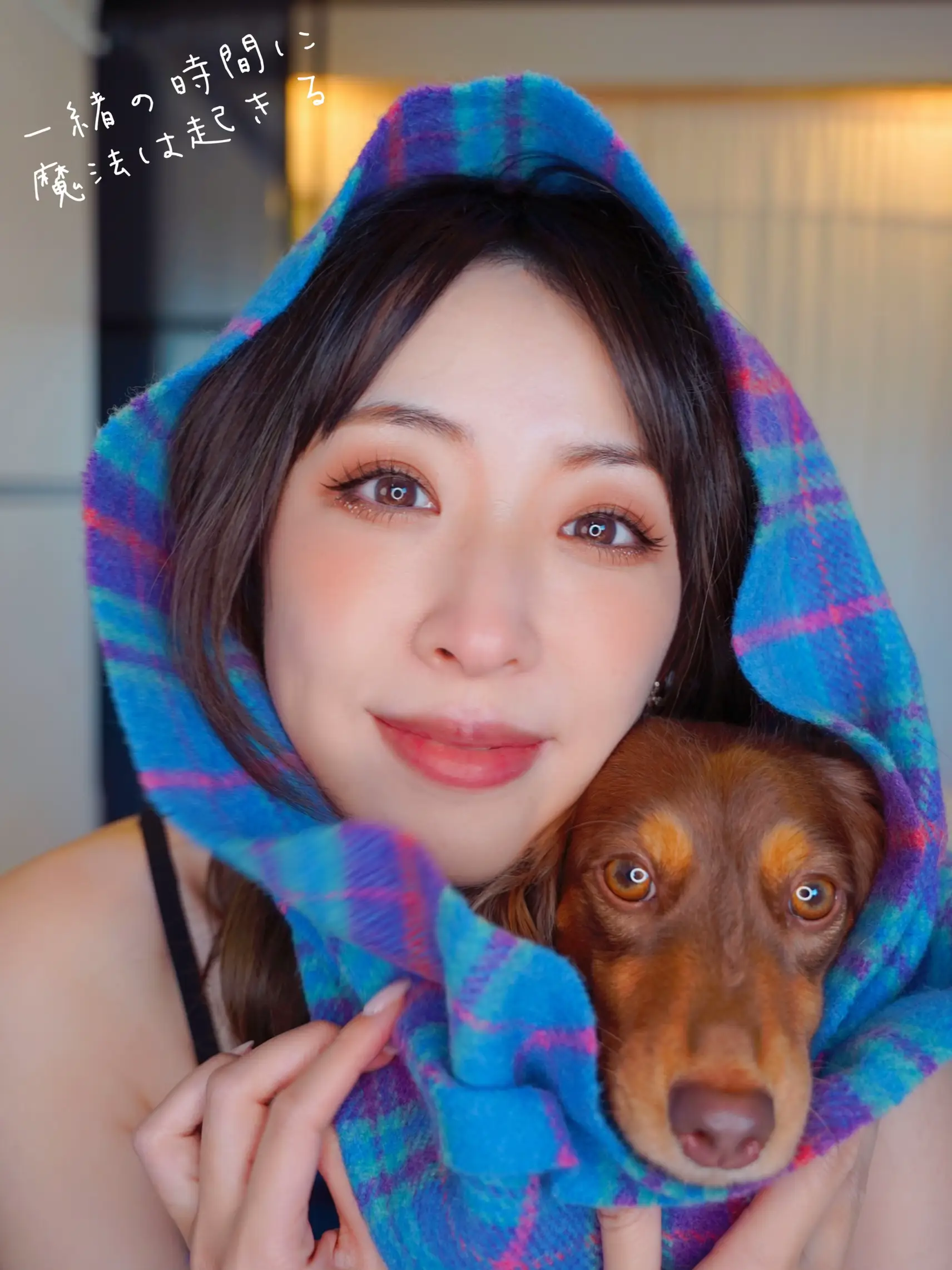 🐶リンクコーデ💕愛犬とファッションを楽しもう🧣 | ダックス🎗リボン