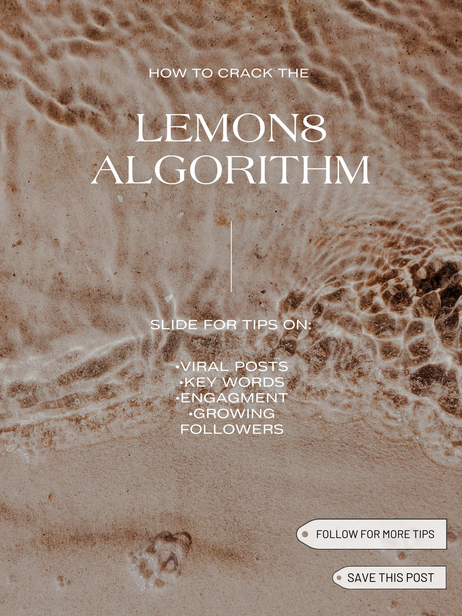 Lemon 8 Algorithm • How To Grow's images